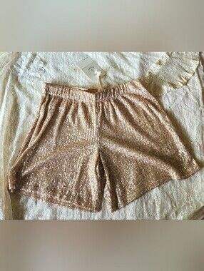 NWT Urban Renewal Champaign Sequin Shorts
